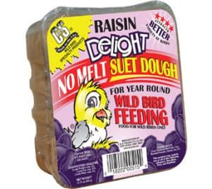 Raisin Delight No Melt Suet Dough