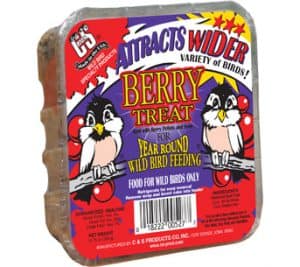 Berry Treat for Wild Birds