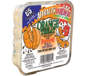 Orange Treat Suet for Wild Birds