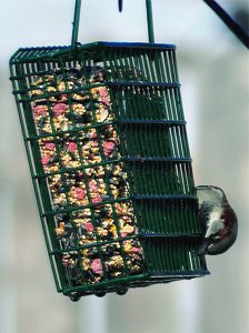 Seed Snaks™ for Wild Birds in Feeder