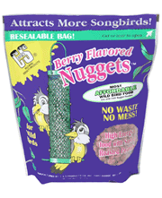 Berry Flavored Nuggets