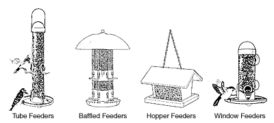 Types of Wild Bird Feeders