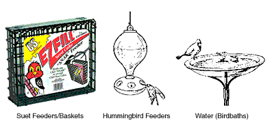 Types of Wild Bird Feeders and Birdbaths