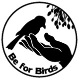 Be for Birds!